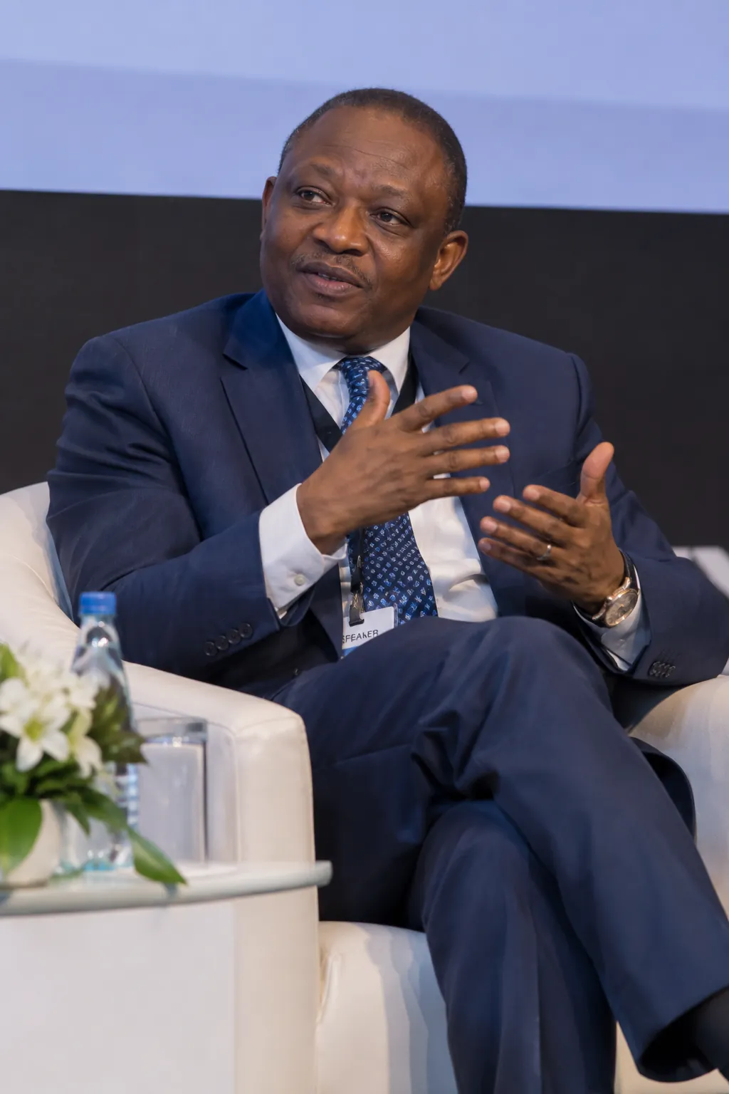 Chike Obi, fictional sample photograph